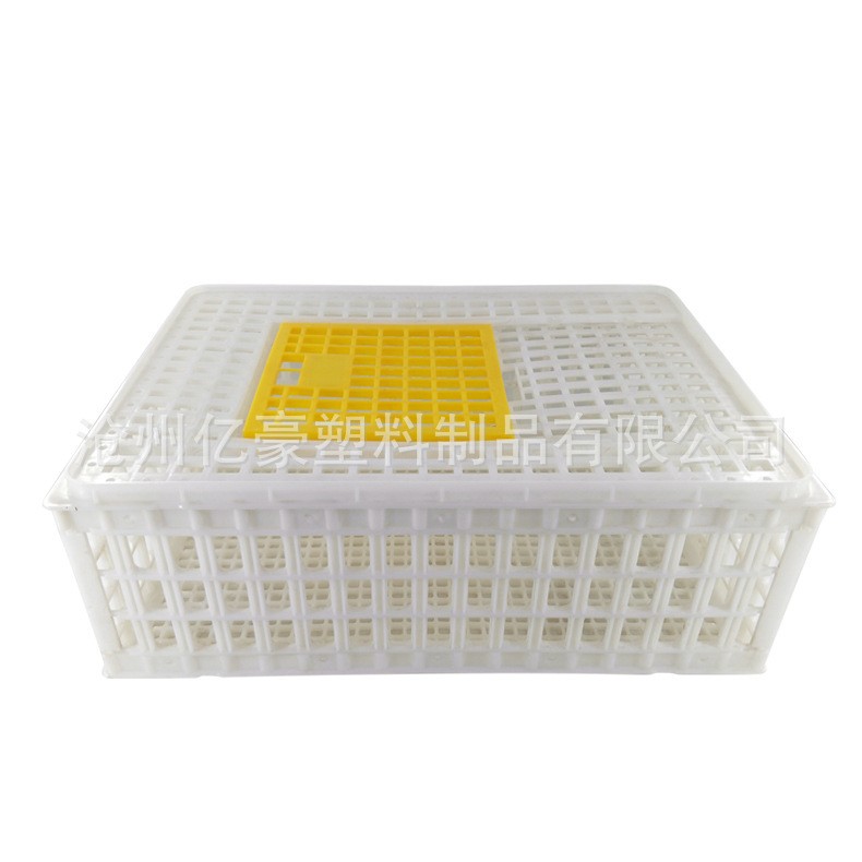 鸡用运输笼鸡用周转箱鸡运输笼 鸡鸭周转筐 成鸡周转箱 运输笼具图4