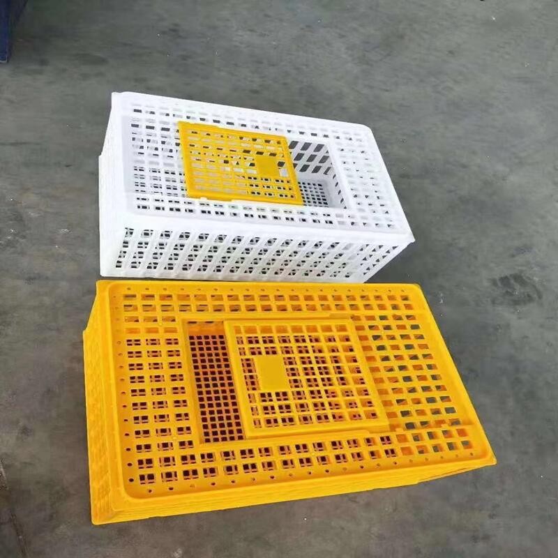 鸡用运输笼鸡用周转箱鸡运输笼 鸡鸭周转筐 成鸡周转箱 运输笼具图2
