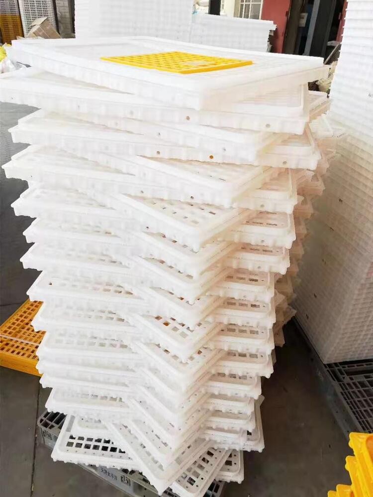 定制鸡笼周转箱塑料鸡箱运输笼周转笼 鸽兔家禽运输笼周转筐 鸡筐图2