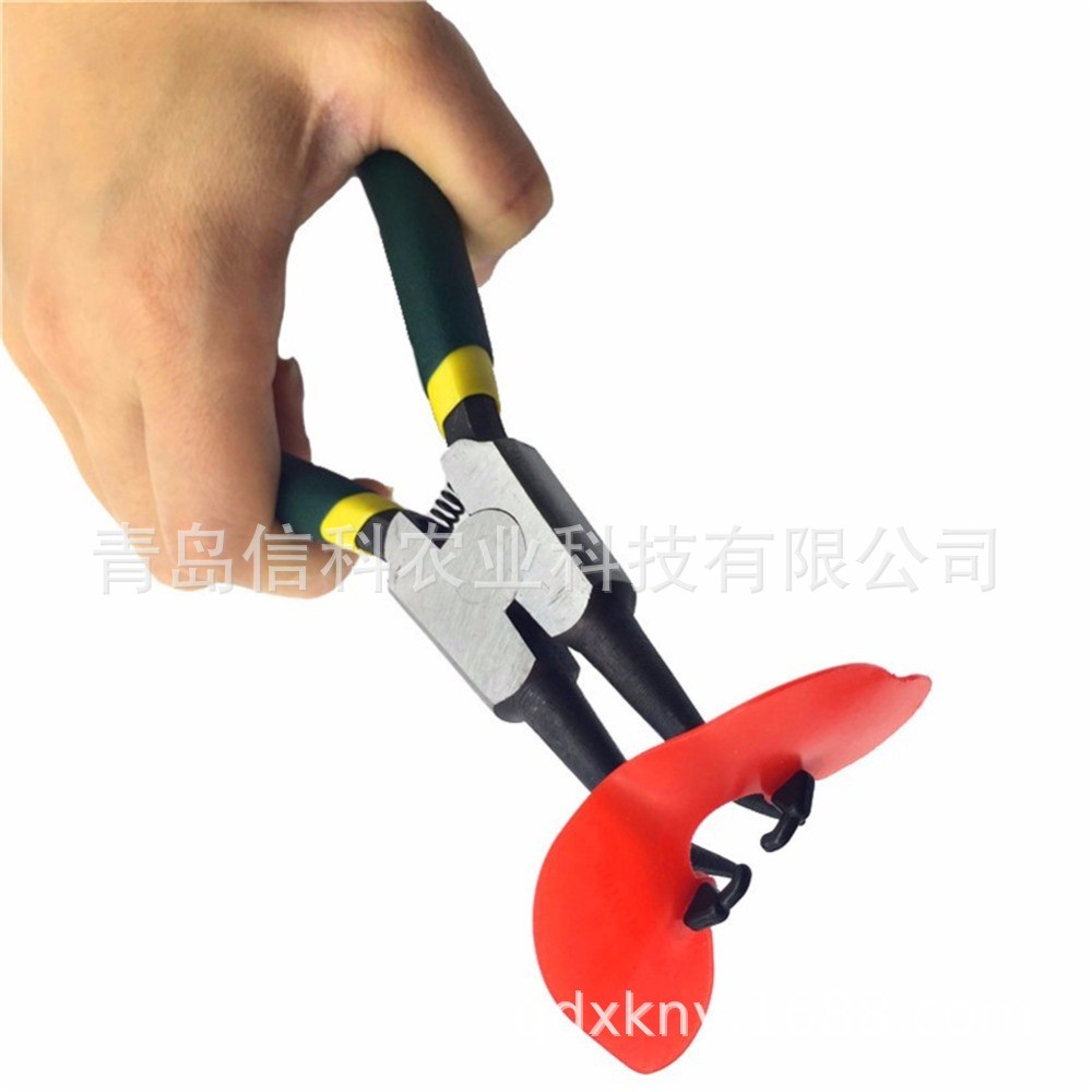 第十代野鸡无栓鸡戴眼镜 大公鸡用眼镜 不挂网 防伤害 软镜片又图3