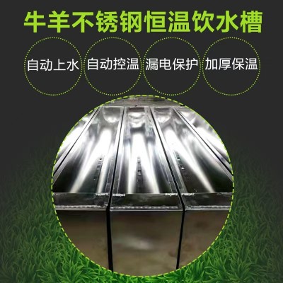 牛羊养殖场不锈钢恒温饮水槽 自动加水饮水器