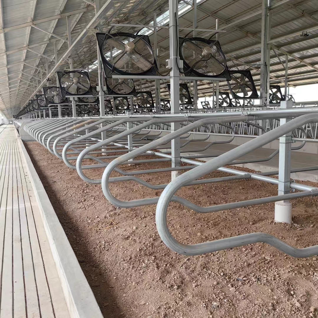 牧场专用牛用 牛卧床 牛卧栏图2