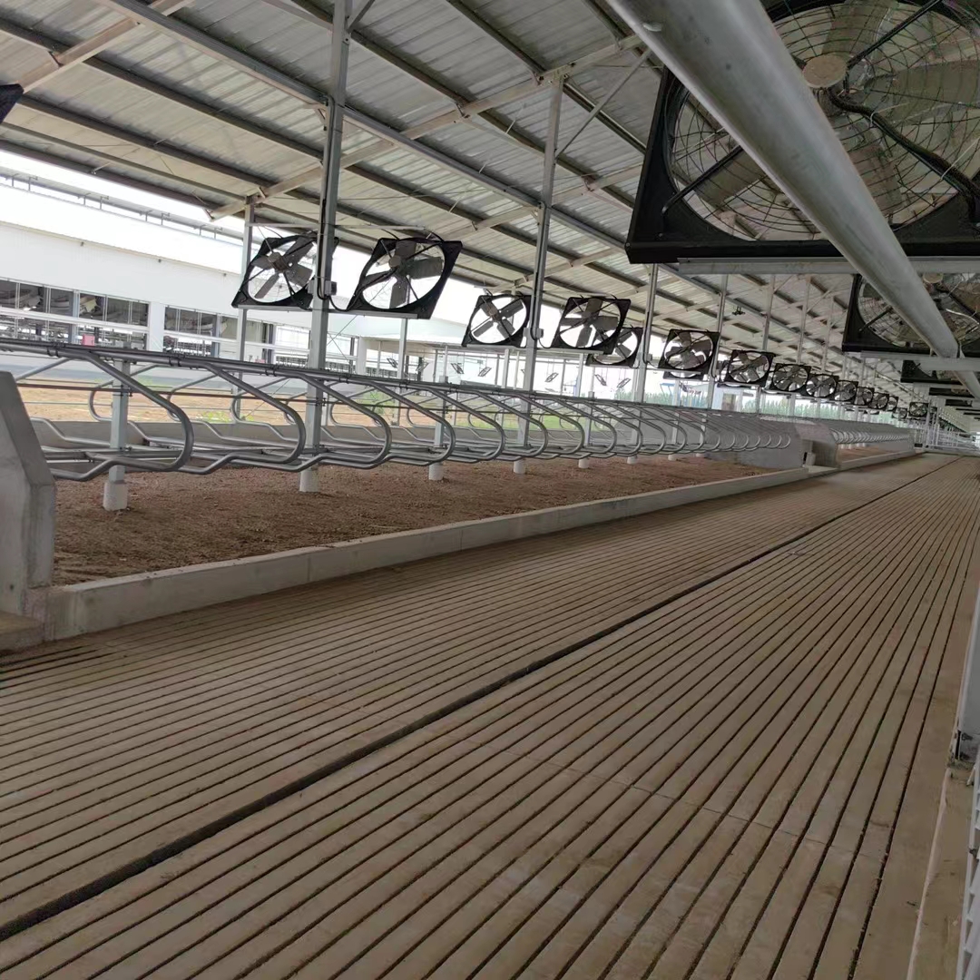 牧场专用牛用 牛卧床 牛卧栏图3