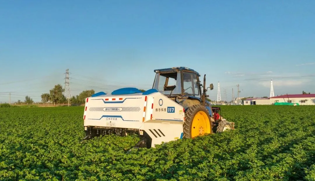 棉花智能打顶机器人图3
