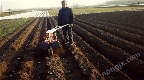 土豆开沟起垄机图2