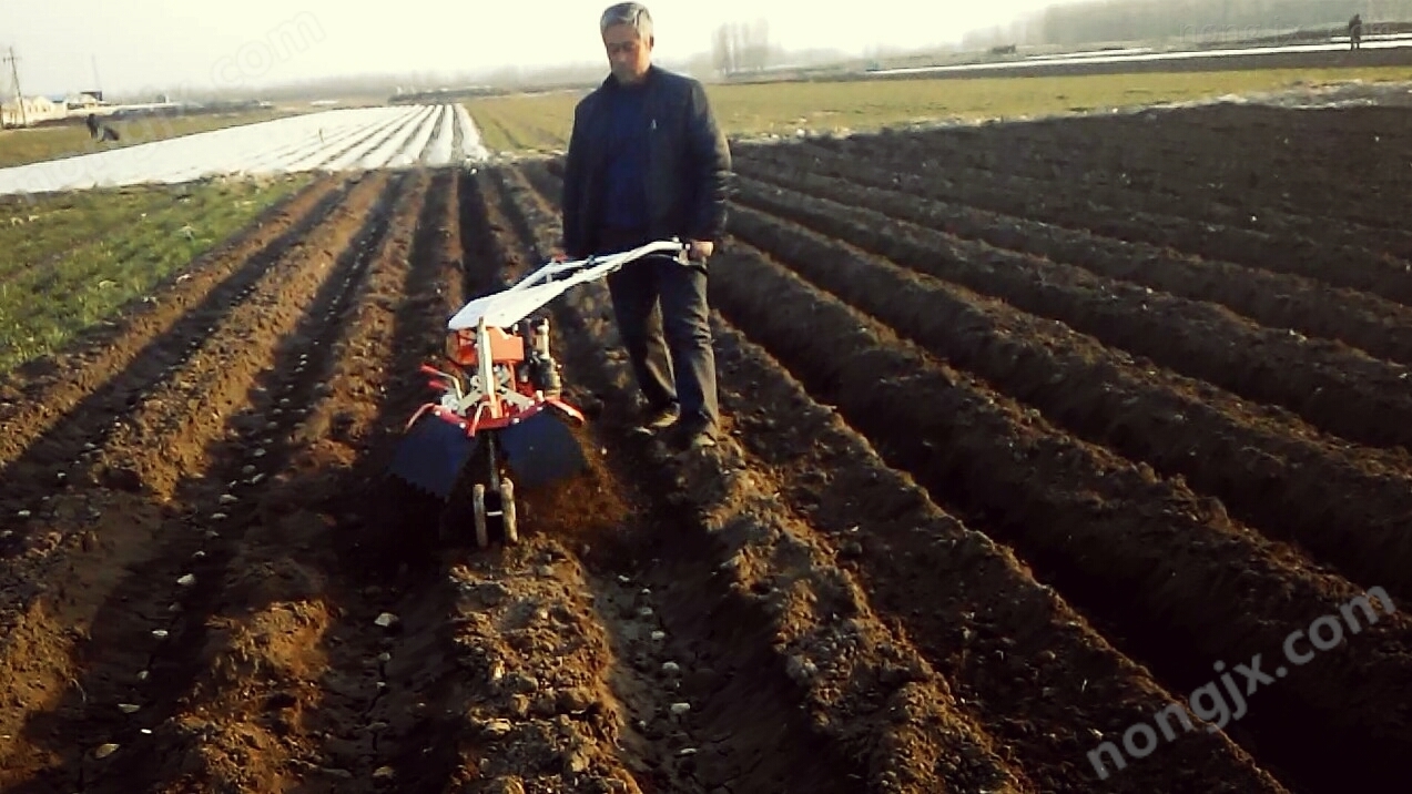 土豆开沟起垄机