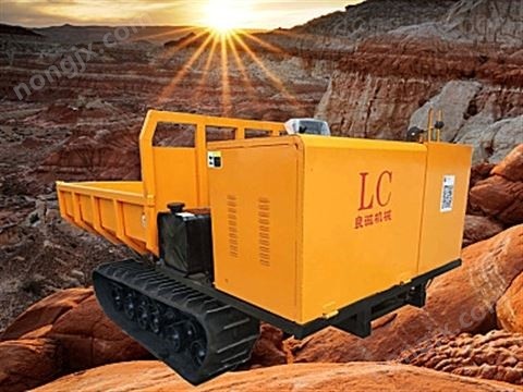 良诚3吨履带运输车图2