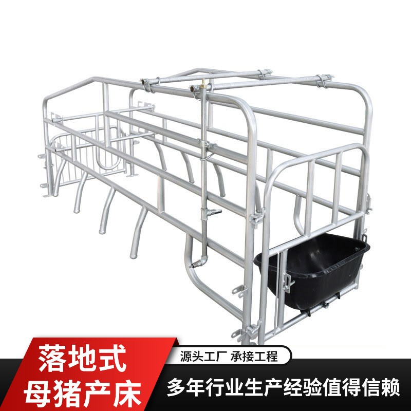 厂家批发落地式母猪产床产保两用落地式单体猪用设备母猪分娩床图3