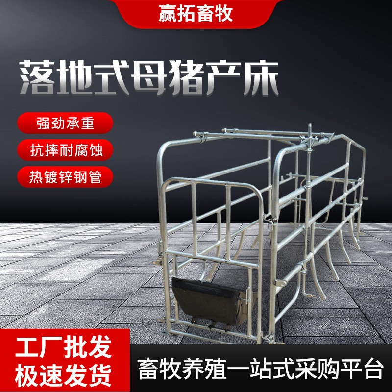 厂家批发落地式母猪产床产保两用落地式单体猪用设备母猪分娩床