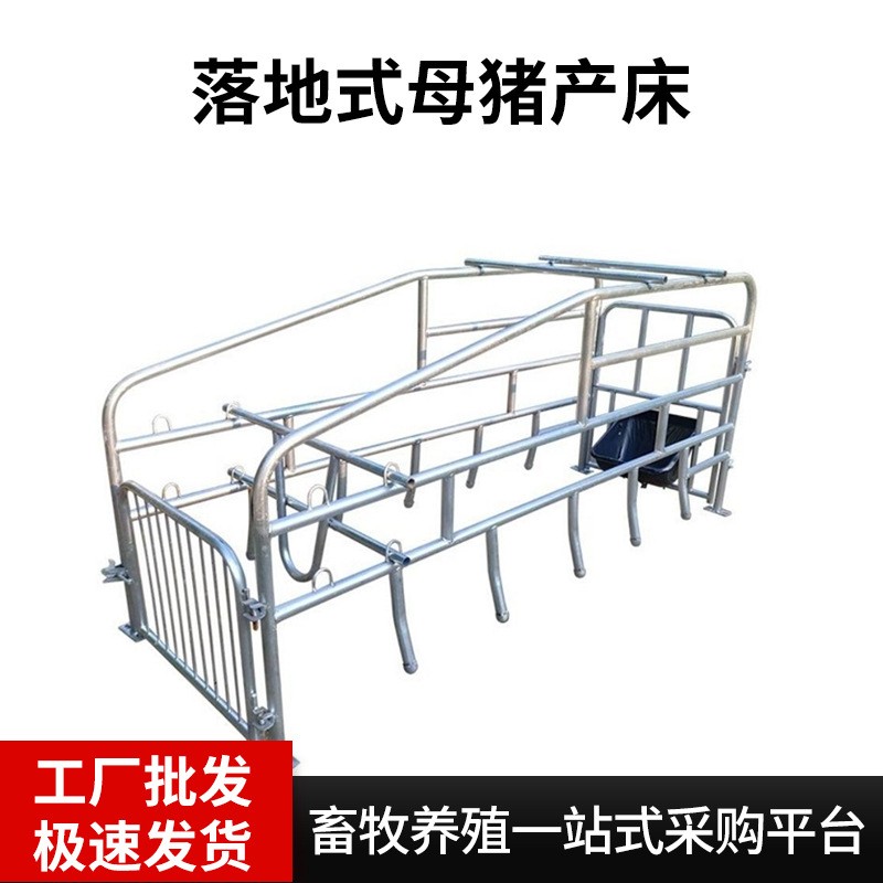 厂家批发落地式母猪产床产保两用落地式单体猪用设备母猪分娩床图2