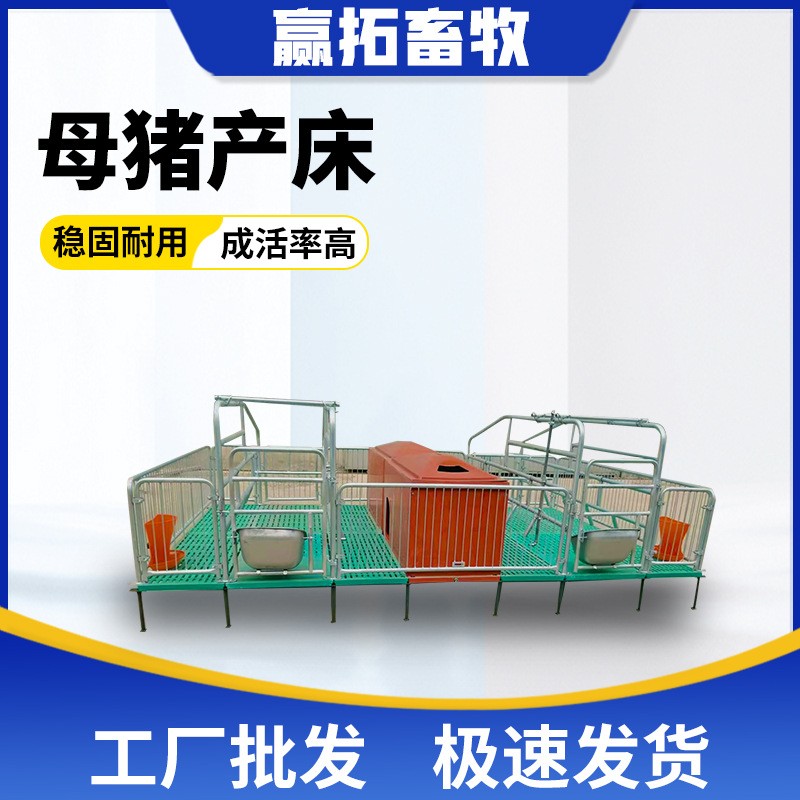 厂家现货母猪产床猪用复合产保两用仔猪分娩床热镀锌加厚母猪产床图4