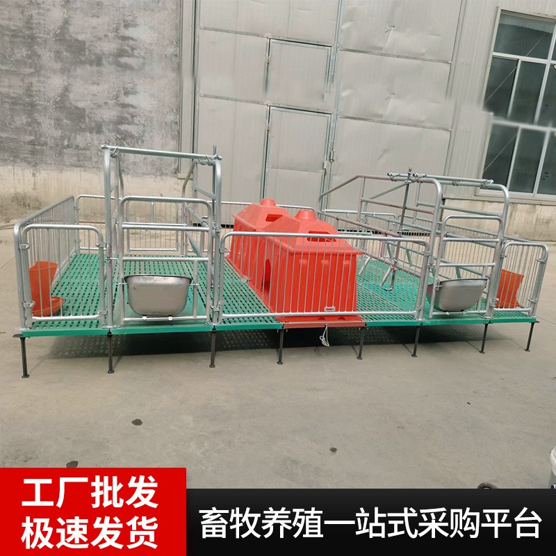 厂家现货母猪产床猪用复合产保两用仔猪分娩床热镀锌加厚母猪产床