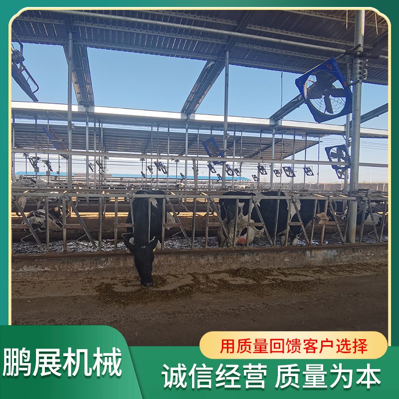 现货供应牛颈夹 养牛牧场用畜牧设备牛颈夹 自锁式牛颈夹