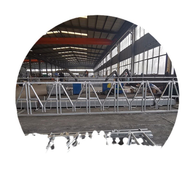 现货供应牛颈夹 养牛牧场用畜牧设备牛颈夹 自锁式牛颈夹图5