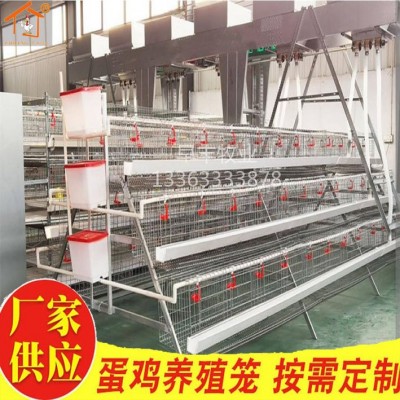 养鸡家用子养殖三层四层蛋鸡笼热镀锌鸡笼阶梯式蛋鸡笼层叠蛋鸡笼