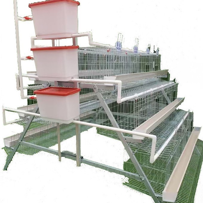 养鸡家用子养殖三层四层蛋鸡笼热镀锌鸡笼阶梯式蛋鸡笼层叠蛋鸡笼图5