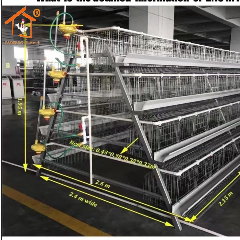 层叠式蛋鸡笼三层四层阶梯式蛋鸡笼各种禽类养殖设备热镀锌鸡笼图3
