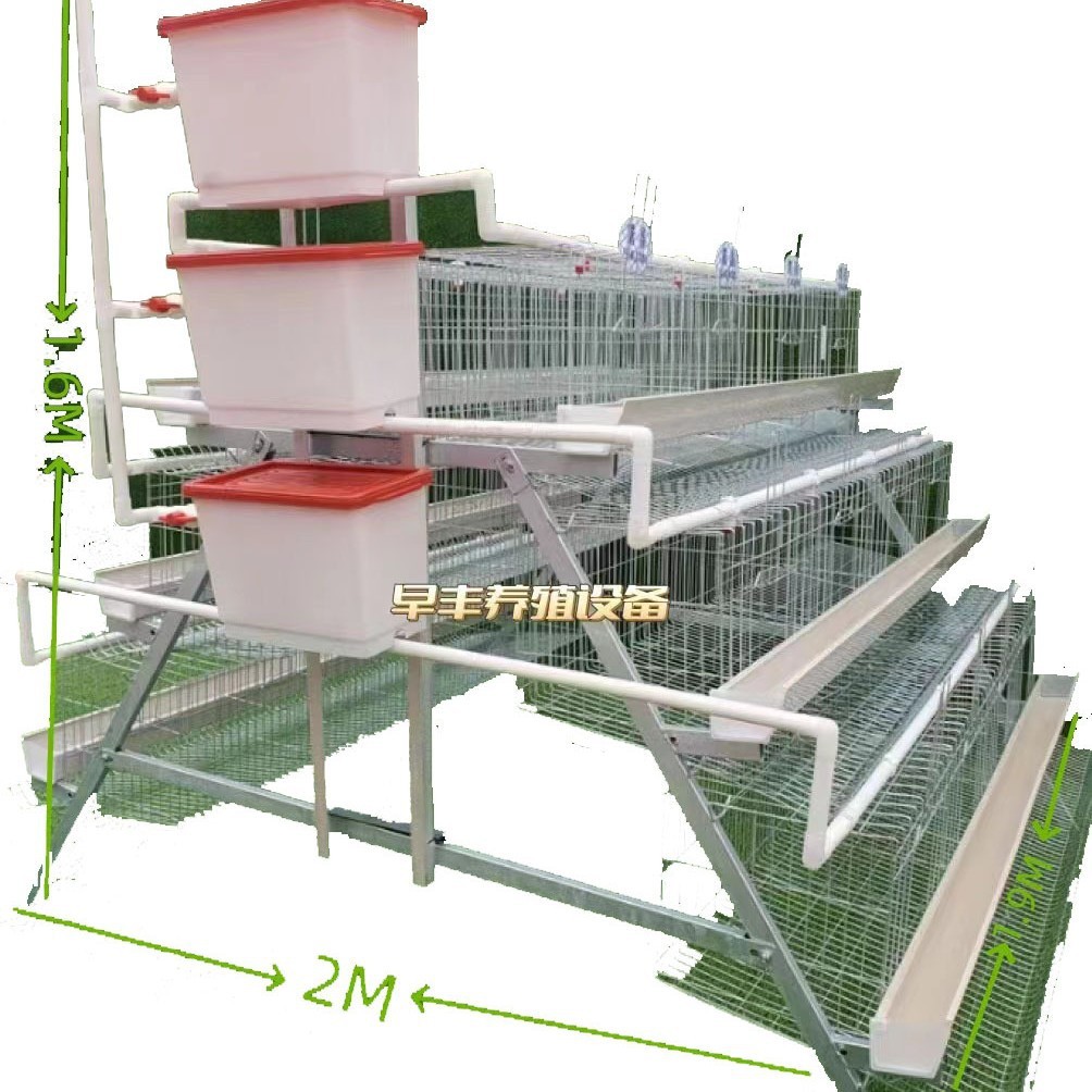 层叠式蛋鸡笼三层四层阶梯式蛋鸡笼各种禽类养殖设备热镀锌鸡笼图5