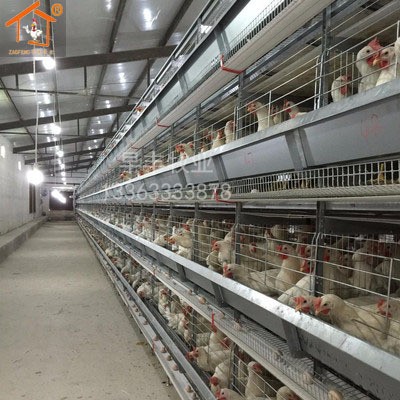 层叠式蛋鸡笼三层四层阶梯式蛋鸡笼各种禽类养殖设备热镀锌鸡笼图2