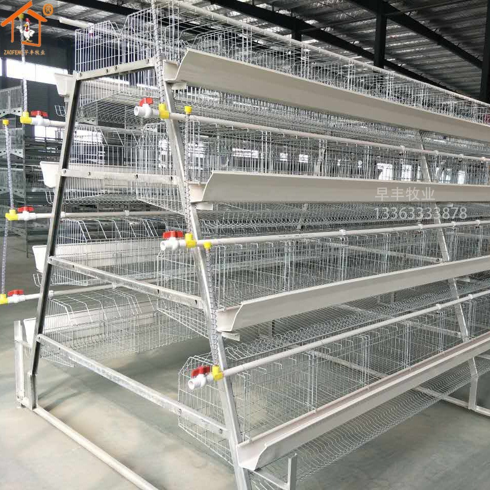 层叠式蛋鸡笼三层四层阶梯式蛋鸡笼各种禽类养殖设备热镀锌鸡笼图4