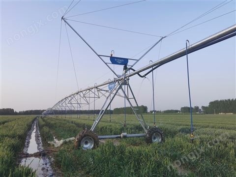 安徽艾瑞德平移式喷灌机图4