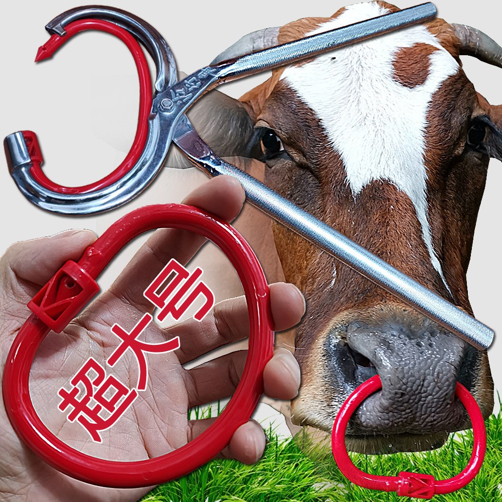 厂家直销特大号养牛器械设备 牛鼻环牛鼻圈 牛鼻钳子穿孔打孔钳子