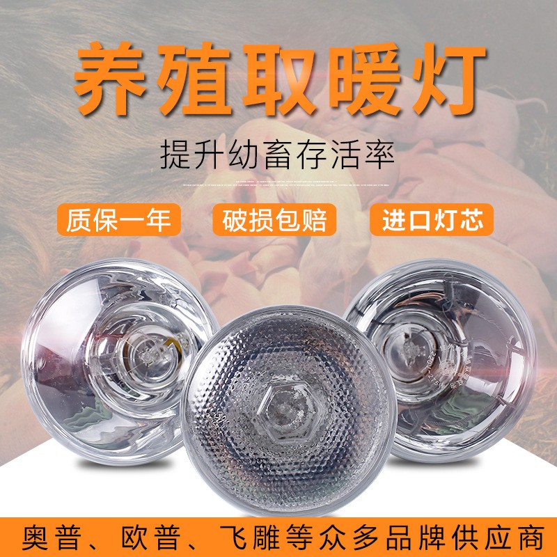 蓝鸟养殖专用取暖灯小鸡仔猪仔育雏兽用加热烤灯设备加厚保温灯泡