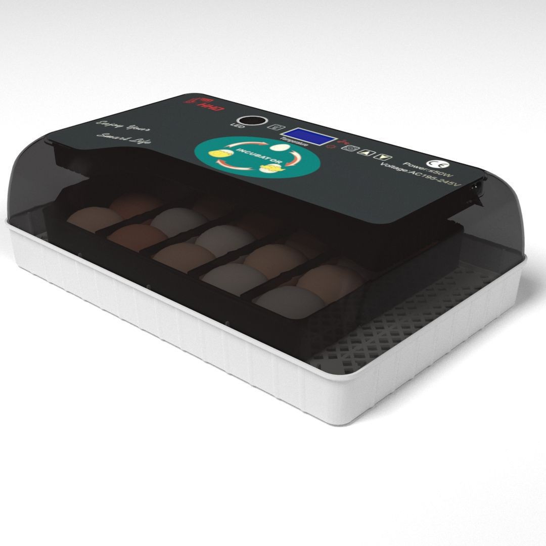 工厂直供12枚科学教研孵蛋器家禽鸡蛋孵化器小鸡养殖孵化设备机器图2