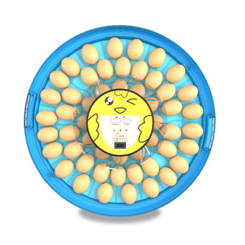 工厂直供12枚科学教研孵蛋器家禽鸡蛋孵化器小鸡养殖孵化设备机器图4