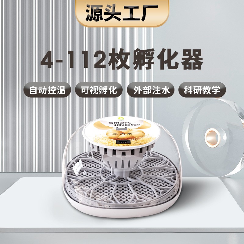 工厂直供12枚科学教研孵蛋器家禽鸡蛋孵化器小鸡养殖孵化设备机器