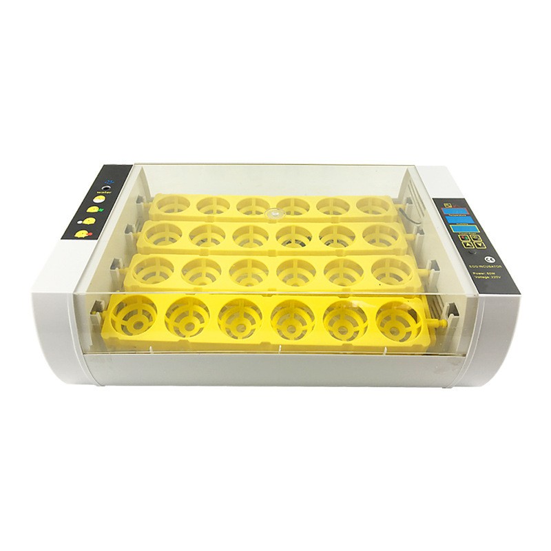 工厂直供12枚科学教研孵蛋器家禽鸡蛋孵化器小鸡养殖孵化设备机器图3