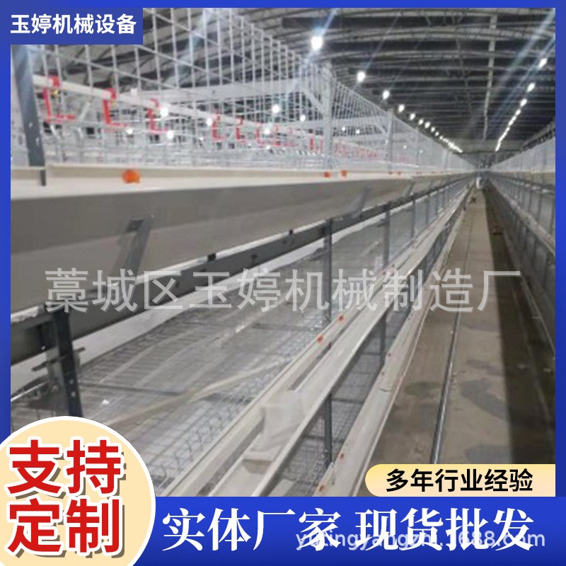 全自动层叠蛋鸡笼子养殖鸡笼具笼养鸡用设备阶梯式鸡笼蛋鸡笼养殖