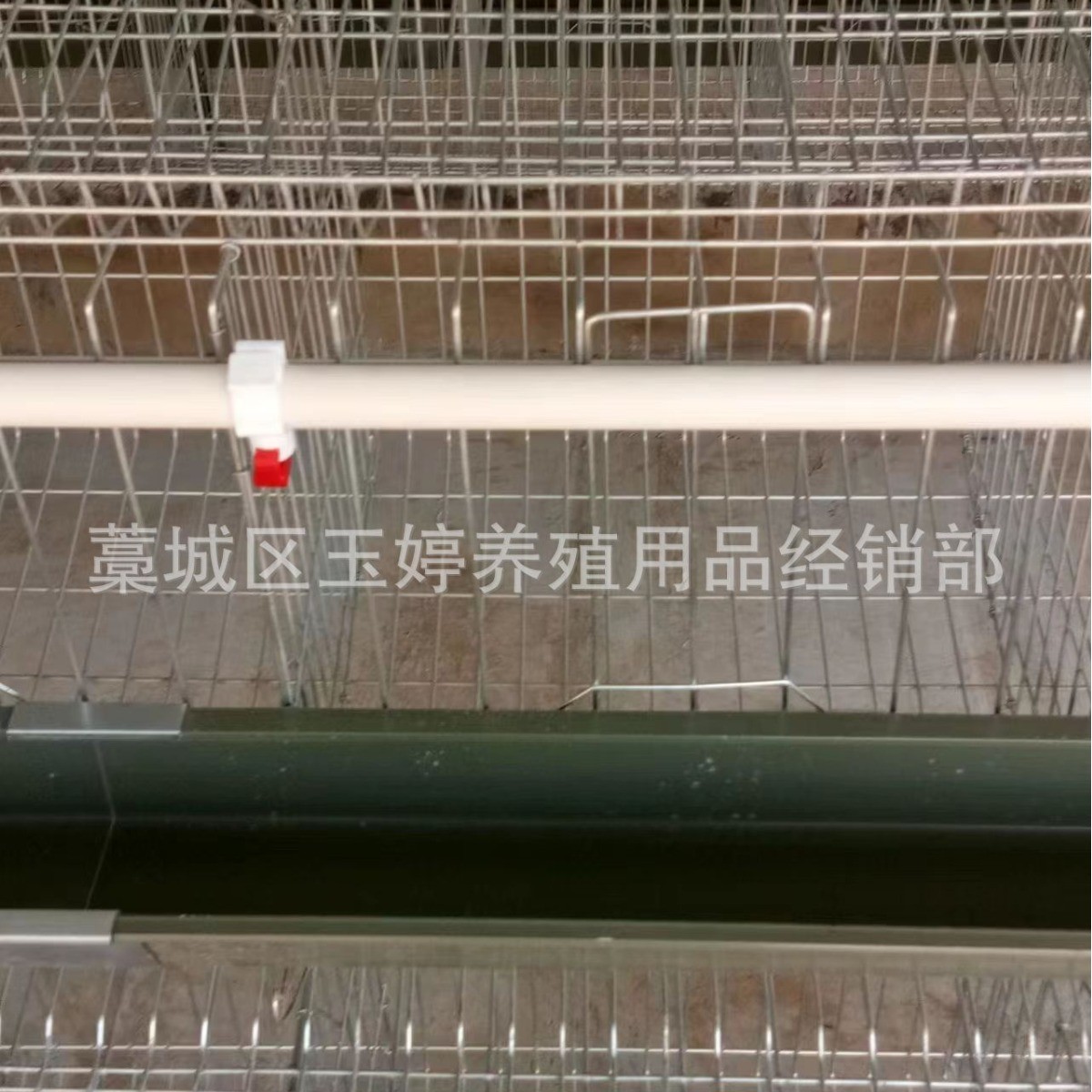 全自动层叠蛋鸡笼子养殖鸡笼具笼养鸡用设备阶梯式鸡笼蛋鸡笼养殖图3