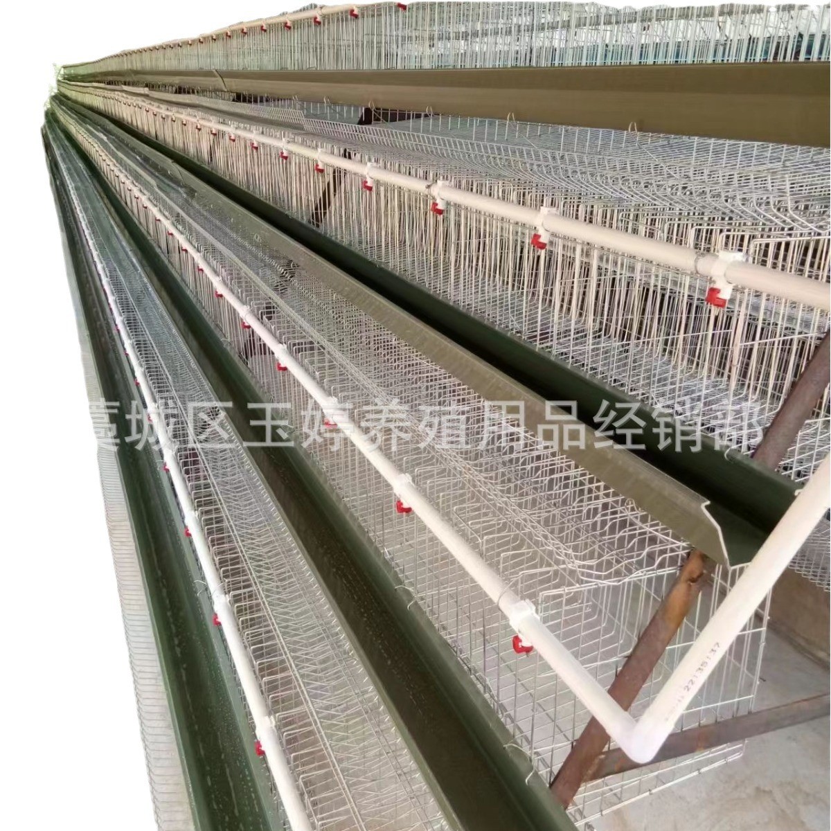 全自动层叠蛋鸡笼子养殖鸡笼具笼养鸡用设备阶梯式鸡笼蛋鸡笼养殖图5