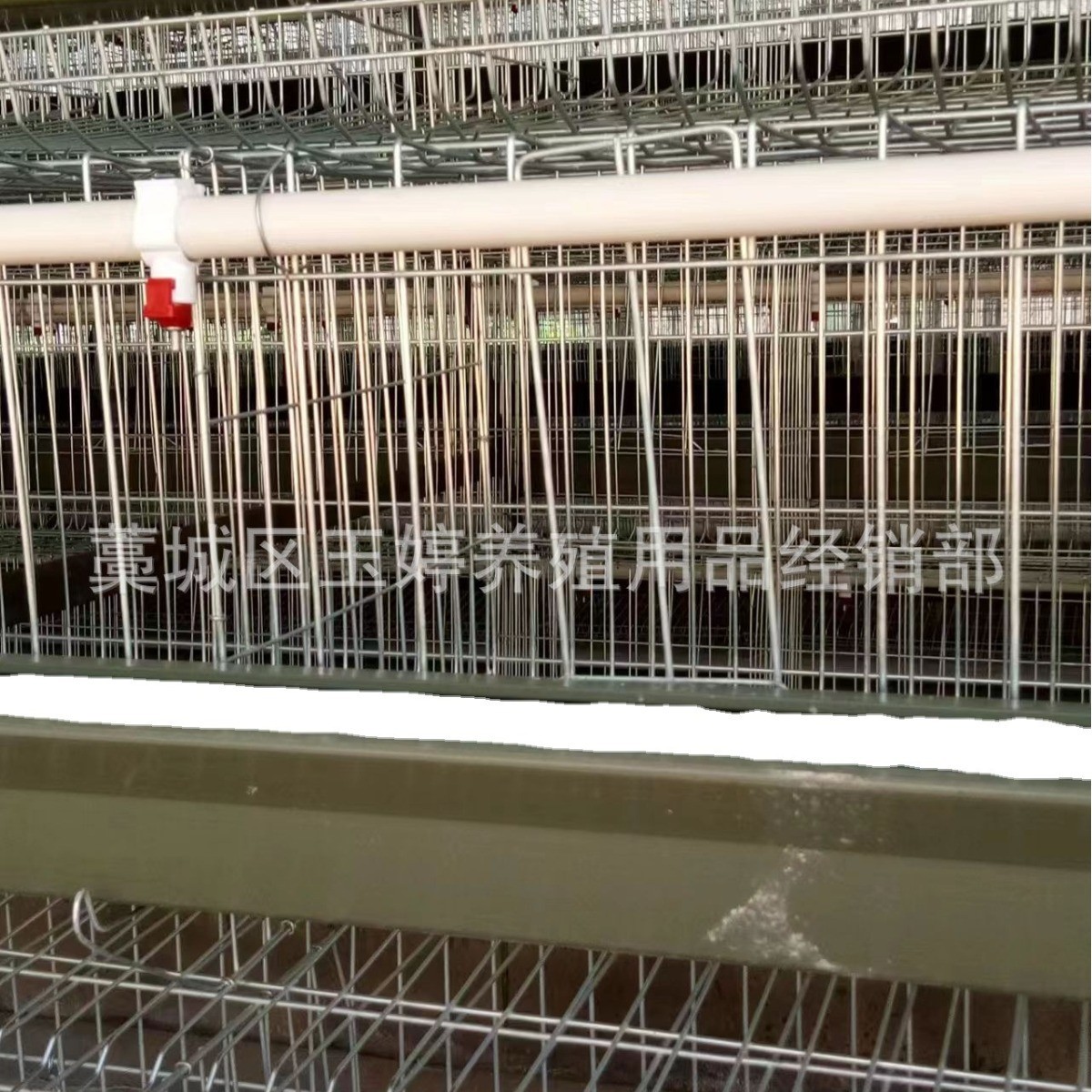 全自动层叠蛋鸡笼子养殖鸡笼具笼养鸡用设备阶梯式鸡笼蛋鸡笼养殖图4