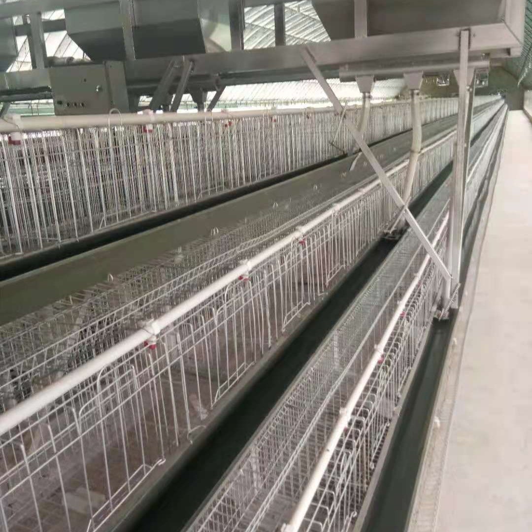热镀锌鸡笼养殖场鸡笼设备热镀锌鸡笼价格便宜不生锈产品质量过关图3