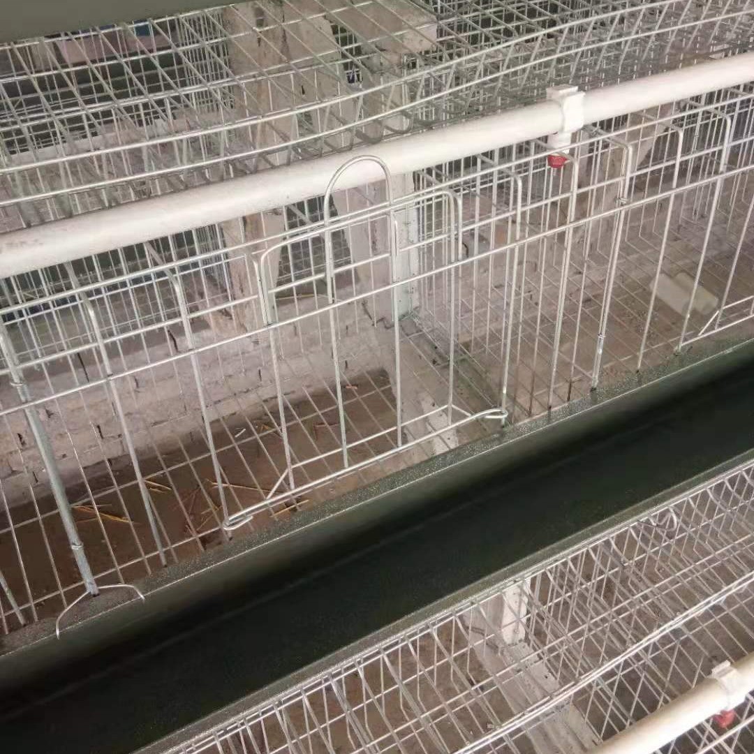 热镀锌鸡笼养殖场鸡笼设备热镀锌鸡笼价格便宜不生锈产品质量过关图2