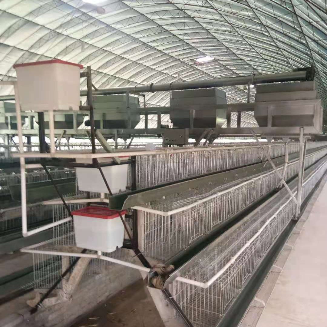 热镀锌鸡笼养殖场鸡笼设备热镀锌鸡笼价格便宜不生锈产品质量过关图4