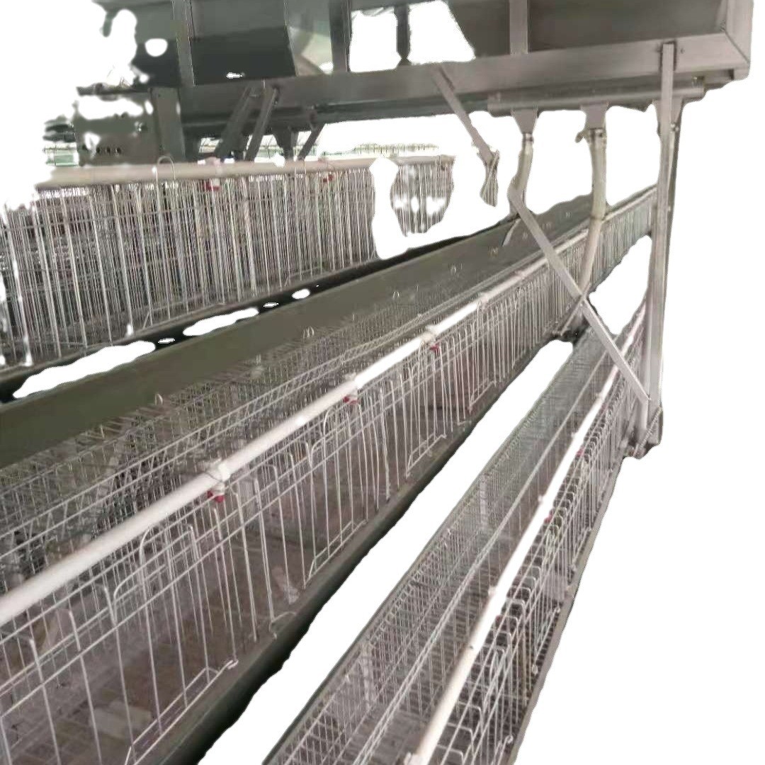 热镀锌鸡笼养殖场鸡笼设备热镀锌鸡笼价格便宜不生锈产品质量过关图5
