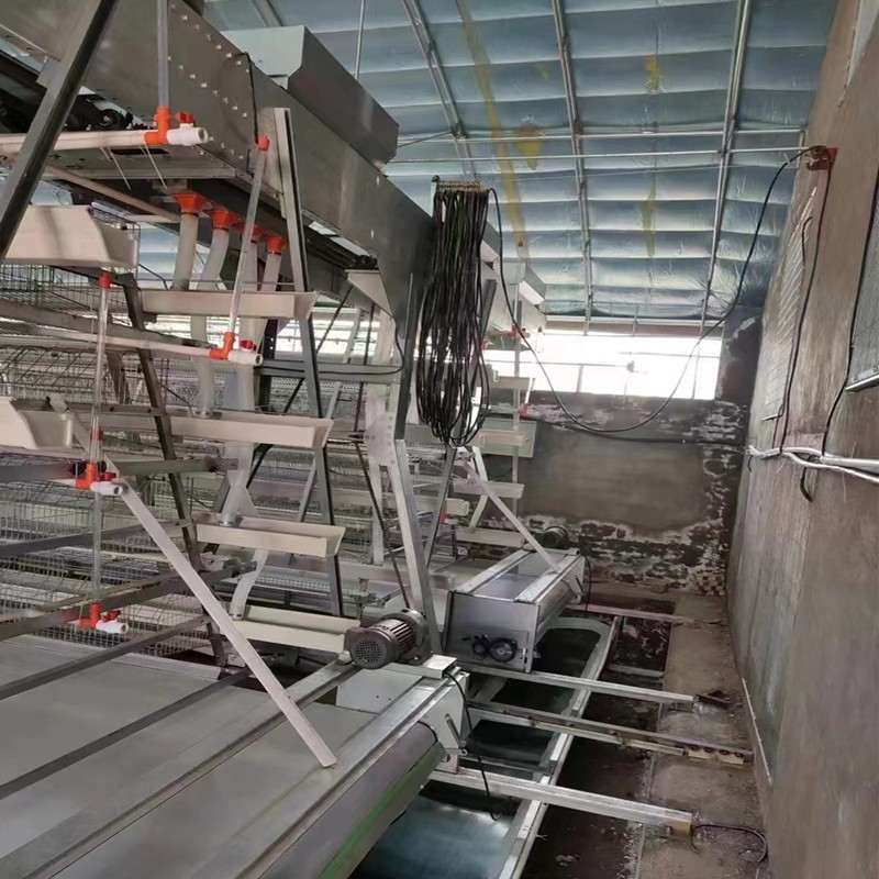 蛋鸡养殖笼子厂家供应养鸡笼子镀锌养鸡设备鸡笼可定制全阶梯图2