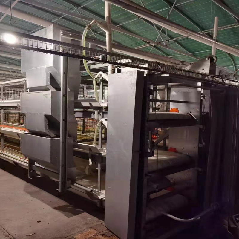 蛋鸡养殖笼子厂家供应养鸡笼子镀锌养鸡设备鸡笼可定制全阶梯图3