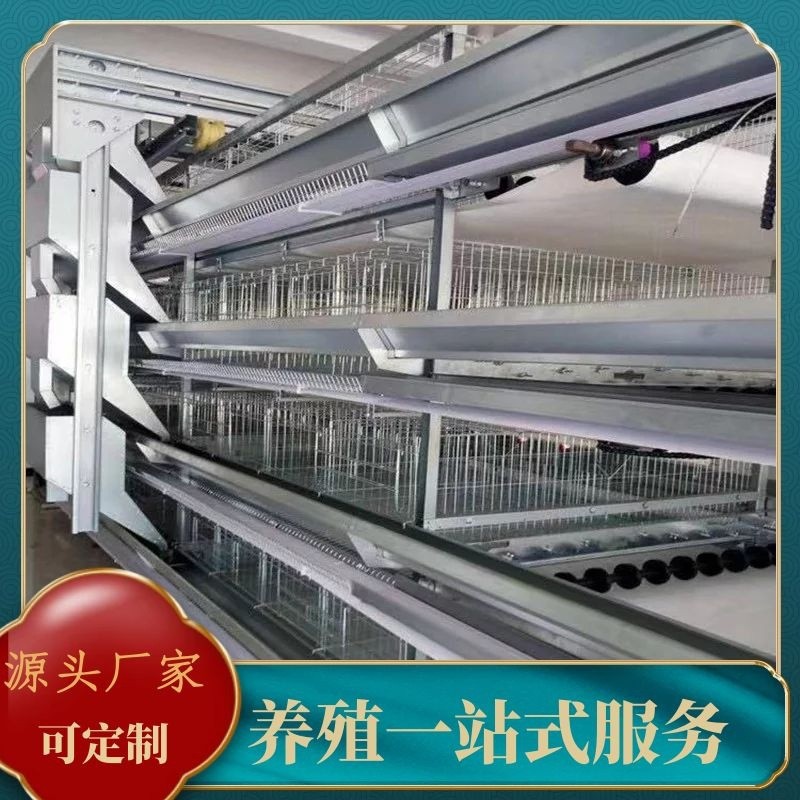 厂家批发全自动小层叠蛋鸡养殖笼具笼养鸡用设备三层四层蛋鸡笼