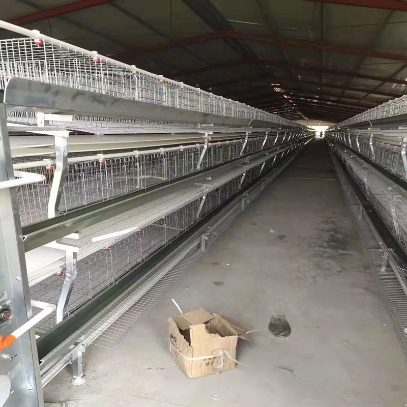 厂家批发全自动小层叠蛋鸡养殖笼具笼养鸡用设备三层四层蛋鸡笼图2