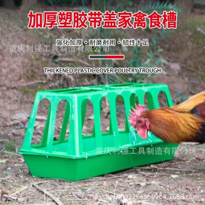 养殖设备自动喂鸡鸭槽长型喂鸡喂鹅喂鸭塑料喂水槽家用饲料通加厚