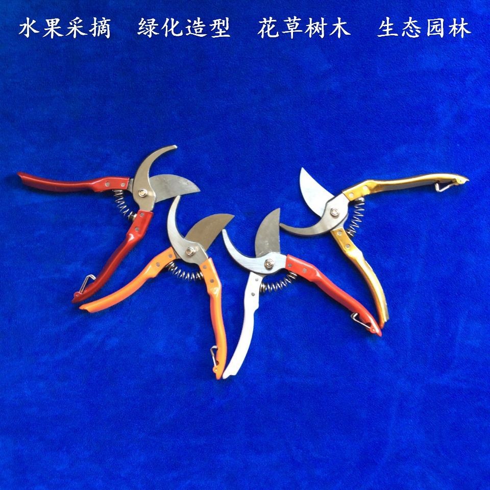 墨牛修枝剪果枝剪树剪果树剪果剪花剪园艺剪刀花木剪粗枝剪高枝剪图2