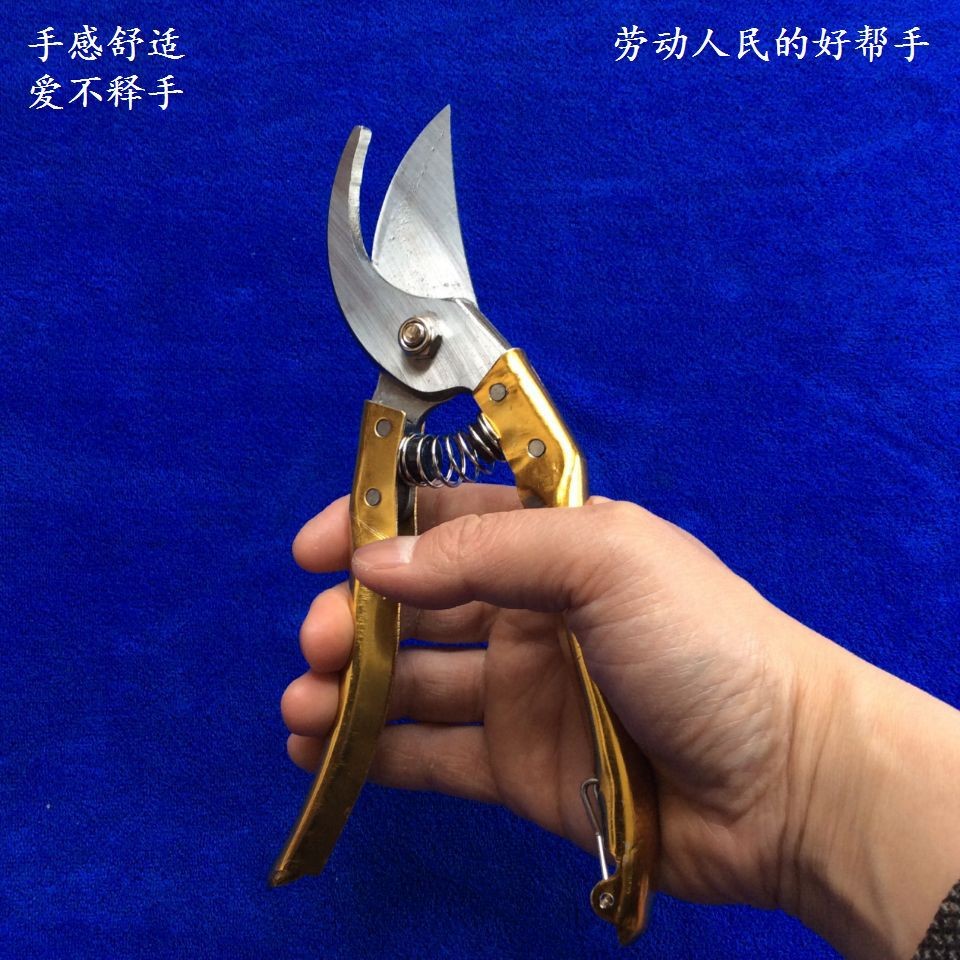 墨牛修枝剪果枝剪树剪果树剪果剪花剪园艺剪刀花木剪粗枝剪高枝剪图4