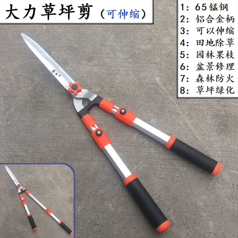 墨牛可伸缩草坪剪绿篱剪刀园艺剪修枝剪果树枝剪绿化造型剪大花剪图3
