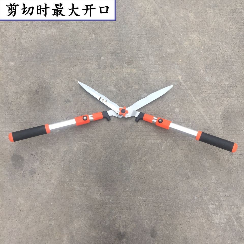 墨牛可伸缩草坪剪绿篱剪刀园艺剪修枝剪果树枝剪绿化造型剪大花剪图4