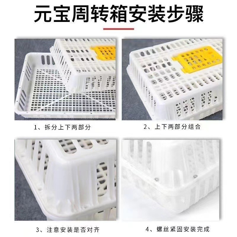 养殖场鸡框运输塑料家禽周转箱筐成鸡鸭鸽字周转箱家用加厚鸡框图4