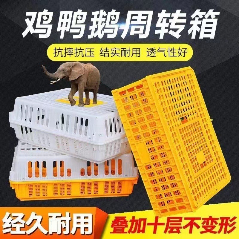 养殖场鸡框运输塑料家禽周转箱筐成鸡鸭鸽字周转箱家用加厚鸡框
